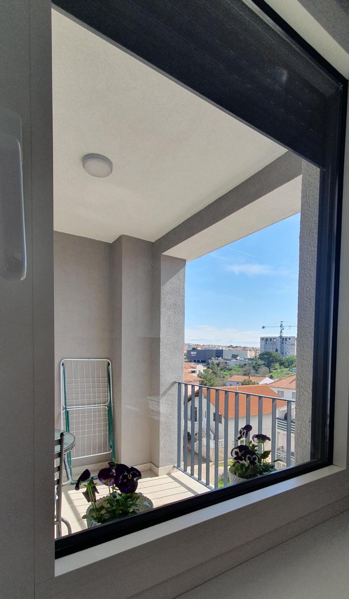 Dino, Zadar
